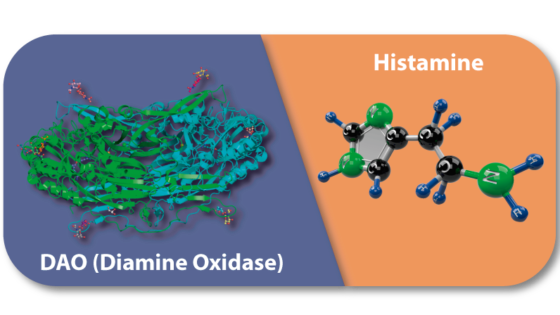 dao and histamine dao deficiency
